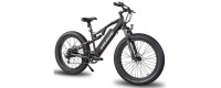electric bicycles